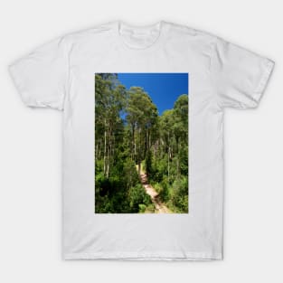 Forest Walk T-Shirt